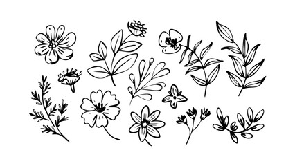 Whimsical Floral and Leafy Swirls leaves doodle
