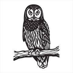 Detailed owl perched on branch isolated on white background, showcasing intricate feather patterns and wild nature in vintage style illustration