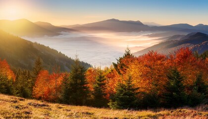 Fototapeta premium colorful autumn trees glow in the rays of the rising sun on misty hills high mountain ranges in the morning haze in the background mountains landscape