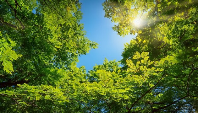 beautiful green leaves basking in sunlight under clear blue sky - Powered by Adobe