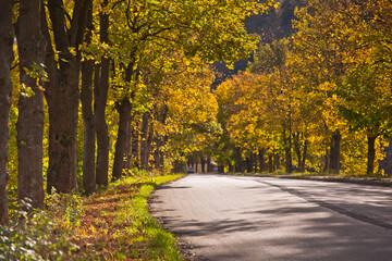 Ul. Piłsudskiego koło dworca PKP w Muszynie w piękny, jesienny dzień.