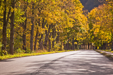 Ul. Piłsudskiego koło dworca PKP w Muszynie w piękny, jesienny dzień.