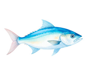 Fototapeta premium Carefully drawn illustration of bluefish. Charming. Delicious. Hand-drawn style. Brush. Seafood. Freshness. Fresh. Market. DHA, EPA. Health. Diet.