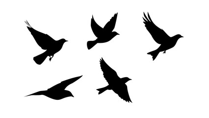 Fototapeta premium Flock of Crows in Flight Silhouette bird flying