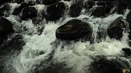 Scenic river with flowing water, rocks, trees, underwater view and sun reflection