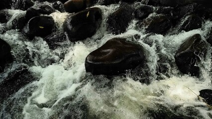 Scenic river with flowing water, rocks, trees, underwater view and sun reflection