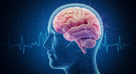 Obraz premium Human brain illustration with electrical activity