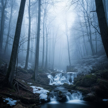 For&ecirc;t myst&eacute;rieuse envelopp&eacute;e de brume o&ugrave; un ruisseau cristallin serpente dans le silence hivernal