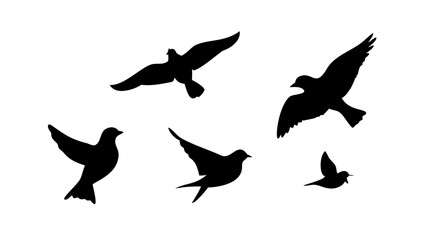 Diverse flock of birds in flight and perched flying sitting