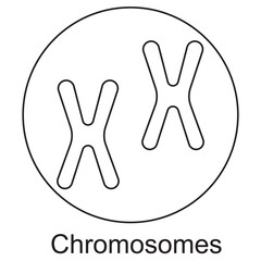 Chromosomes Icon, DNA Chromosomes Icon, Genetic Chromosomes Icon, Medical Chromosomes Icon, Biology Chromosomes Icon, Research Chromosomes Icon, vector