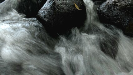 Scenic river with flowing water, rocks, trees, underwater view and sun reflection