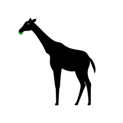 Giraffe vector illustration silhouette icon isolated. giraffe logo, business, clip art