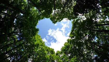 Heart-shaped sky framed by trees