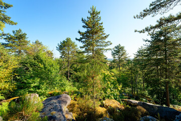 Obraz premium The Horned Rock view on the GR1 Hiking trail. D'Huison-Longueville village