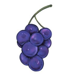 bunch grapes