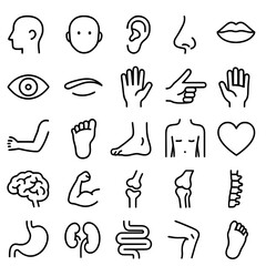 Icon pack, icon sheet, body part theme, outline version