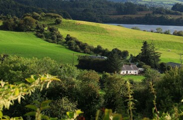Landscape in rural County Leitrim, Ireland featuring cottage home set amongst rolling hills of green field farmland pastures near shores of Lough Gill