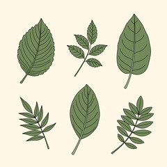 Fototapeta premium Collection of hand drawn green leaf illustrations for nature and botanical designs