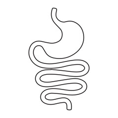Stomach and intestines icon, human digestive tract