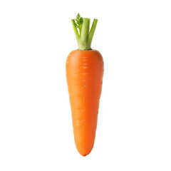 A carrot stands upright, displaying its orange root and green leafy top against a stark .