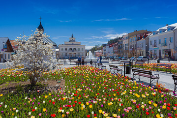 Muszyński rynek w piękny, wiosenny dzień. © rogozinski