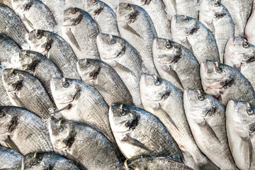fresh raw fish on ice at the supermarket