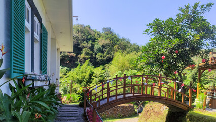 Beautiful tropical garden with a traditional wooden bridge and a white house featuring green window...