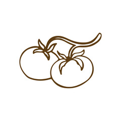 Sprig of cherry tomatoes line outline vector