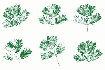 Christmas spruce branches imprint, grunge style, vector decorative elements, isolated green foliage for holiday design