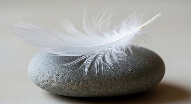 Fototapeta Vectore illustration of a delicate white feather rests gently on a smooth, grey pebble, creating a serene and minimalist composition