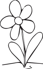 Daisy On White With Clipping Path