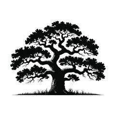 Full Tree Silhouette Illustration with Dense Leaves, Natural and Organic Design Element