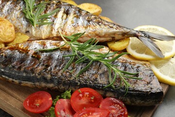 Tasty roasted mackerels with spices and vegetables on grey table, closeup. Homemade seafood dish