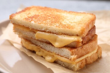 Tasty sandwiches with melted cheese and parsley on plate, closeup