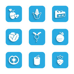 Set Radish, Bell pepper, Turnip, Orange fruit, Tomato, Cabbage, Homemade pie and Healthy icon. Vector