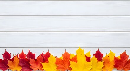 A colorful border of vibrant red, orange, and yellow maple leaves arranged along the bottom edge of a clean white wooden plank background