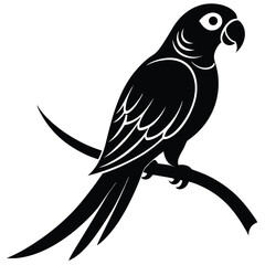 Black silhouette of a parrot perched on a branch bird 2