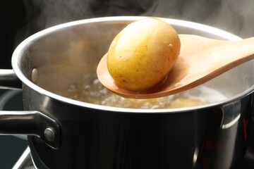 Taking young potato out of boiling water at stove, closeup