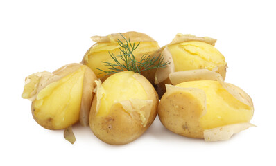 Tasty young boiled potatoes with dill isolated on white