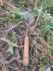 Fototapeta premium sickle in the grass