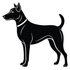 Black silhouette of a standing dog with white accents