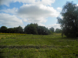 A green field with mown grass, trees on the horizon, a sky covered with clouds, and sunny weather.