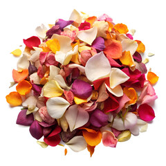 Scattered Flower Petals &ndash; Isolated On Transparent Background