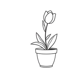 tulip hand sketch, spring flowers in vase, tulip floral arrangement art, tulips vase ink drawing, tulip bouquet in vase, tulip vase decorative art, tulip vase minimal drawing, tulip vase illustration,