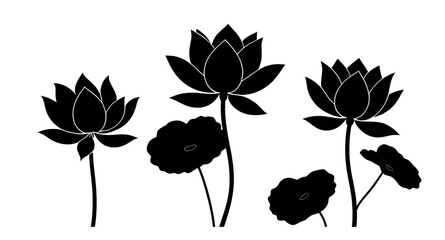 lotus silhouette, lotus flower silhouette, black lotus icon, sacred lotus silhouette, minimal lotus vector, lotus outline art, yoga lotus symbol, meditation lotus silhouette, buddhism lotus design, sp