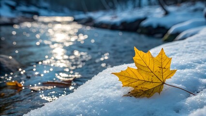 Yellow maple leaf on snow by a sparkling river in winter
