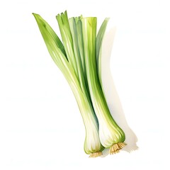 The illustration shows a bunch of green leeks with visible stalks and roots, painted in watercolor style against a white backdrop.