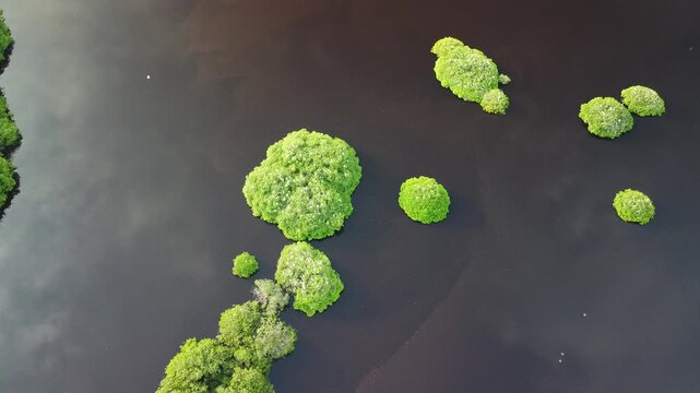 Mirador De Las Aves, San Blas Nayarait 28-08-2025