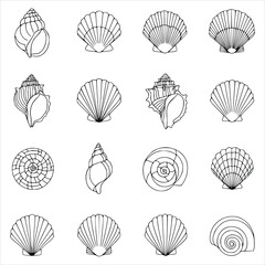 Collection of various seashells isolated on white background, showcasing the intricate patterns and shapes found in marine life in a black and white design