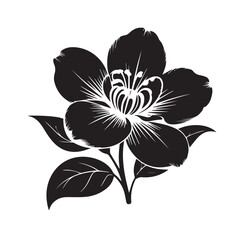 Cherry Blossom Flower Silhouette Vector